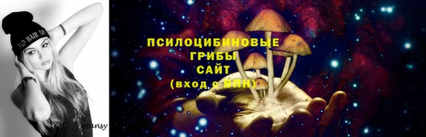 ECSTASY Армянск
