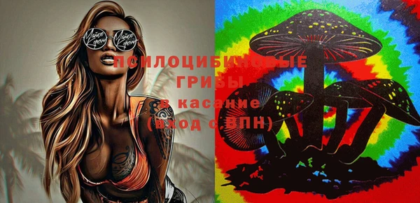 ECSTASY Армянск