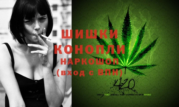 ECSTASY Армянск